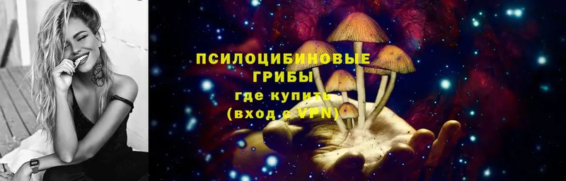 купить  сайты  Солигалич  Галлюциногенные грибы Psilocybine cubensis 